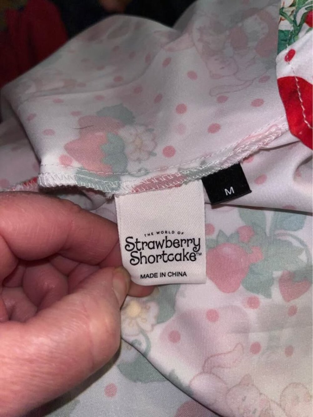 Strawberry Shortcake Dress, Ladies Medium - Picture 3 of 10
